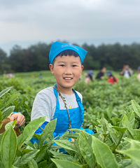 ĩźɽտɲ裬һһС198