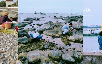 冷门地湛江赶海,3人耍8天只花了3800