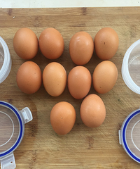 ��ϵ��������ŵ�������ļ�����������������ʵ��