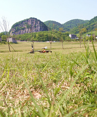 ��ҽ�����Ѵ��ƺ��Ұ��̫�����