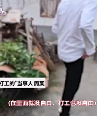 对话这辈子都不可能打工周某:不给网红公司打工,打算在家种地