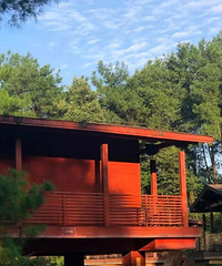 ���ŷŷ磬���ɽ�֣��Ž��ƺ���ס�ÿ���ľ��