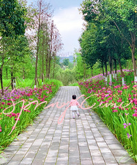 ���幫԰��ƾ����ӶεĻ������ˣ���С����������