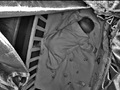 宝宝睡眠训练被闷死