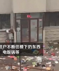 怎么回事?高空抛物都定罪了,两口子还因为吵架往楼下扔东西