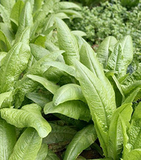 ɽ5Ǽstyleļң˫԰ˣ߲ûͣ