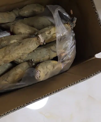 �ҵı��ظ�ĸ�ĵͳɱ�����������Լ������������������ɫ