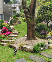 100ƽ԰ʳ¯µأû뵽