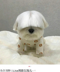 ˵˵����ǰ������Щ��������������