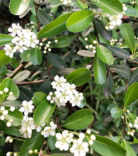 ҾȻӵ20¼10򣬻һʵǾޱ