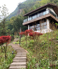 雨天踏青,别样风景丨江津四面山,竟然还有这样一个世外桃源。
