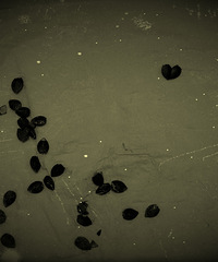 ������������иУ�����ʲô���ɡ���������