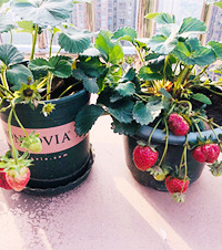 ˡ̨Ķ1ʱ䣬Ұѻߵ¶̨