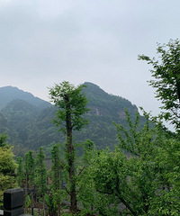 雨天踏青,别样风景丨江津四面山,竟然还有这样一个世外桃源。