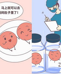试管婴儿流程及注意事项