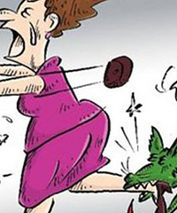孕期被狗咬后害怕疫苗对孩子有影响,我选择打胎后向犬主索赔