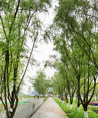 ˳ԼСϺտʪع԰̫ˣ