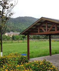 ʪع԰̫󣬽ŶˣóԵտСϺοԼ