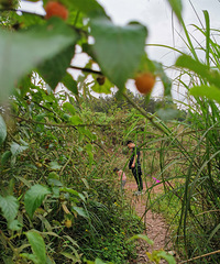 һСʱ̵ĴεأԵ㡢ժӡտ