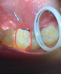 кҪ粹Ūú󣬸оҲûζ