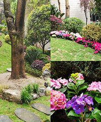 �һ����µز�ʵ�ã����ɻ�԰��������