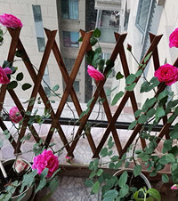 ϵ֮˵̨Ҳд죡ٱ¼ͷúÿ