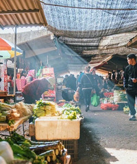 豌豆颠颠、菜秧秧、enter……重庆人取名自带语音!