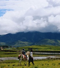 �����˰���µĴ������Σ���������ǿ���ס���޶��Ǿ���ò�����