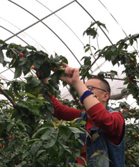 ���ӣ��ǰЩ���ӱ���ˮ�����ˣ��⻹�У�1����Сʱ�͵�����