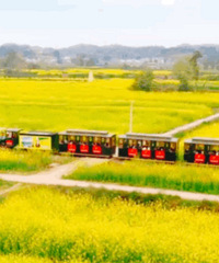 收藏!2020重庆最全区县旅游指南,五一黄金周去区县浪起来吧