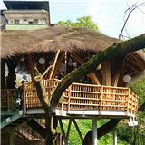 ɽȻ⾪ϲ۾̨ëʾӺ͹ֵһ