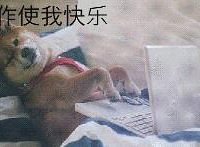 很庆幸,我在体制内工作得很开心