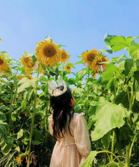 �ܽ���꣬����ÿ���������춼�ܴ��㿴��ͬ�Ļ�����һ���²���