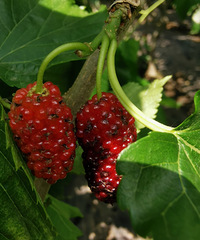 վȻиϿԺһȥժɣ驡ˣ̲