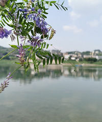 վȻиϿԺһȥժɣ驡ˣ̲