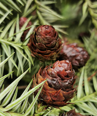 ̤ĺȥ¶Ȳ䲻ȣոպã