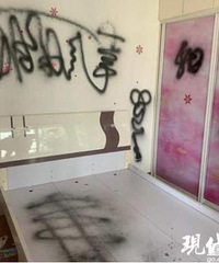 这个95后女租客够狠,涂鸦、换锁、一夜用电70度……