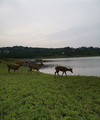 12ڳٺͺ硢÷¹ˣһ죬ֵ̫