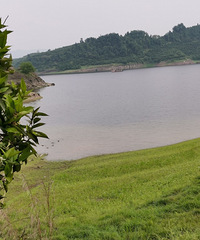 ٺпԿ÷¹ĵط12Сѿˣһ