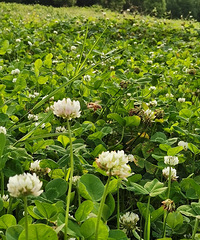 ��θ����������԰���ɲ�ƺ�������꽭����ͻ������ޱر�