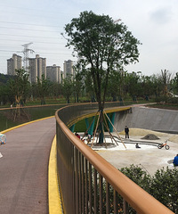 网红金海湾公园旁边才开的公园,耍玩还可以去花市买花带回家