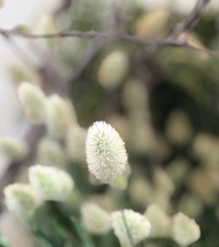 ���ݻ���ϰ�Ը�40ƽ��̨���������������ķ���ݾ�������ֵ����