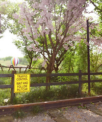 ɽȻôһʥأװԼڹϵа