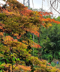 ������ɽ��������·����ϴ�κ�ѡ��