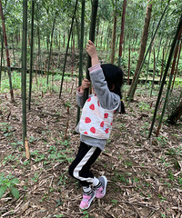 ������θ��Ʒ����һ���ʣ��������˲�ժ���ӵ���Ȥ