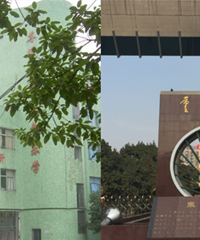重大附小和育英小学官宣联合办学,重庆七中也变成了重大附中