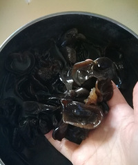 ��ĺ�ľ�������⣬���ʵ��ˬ���޸�û��ͷ