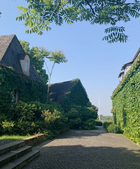 ̤���Ϻ��������ĩ�����ְ����͵ĺõط�����˵�����Կ��տ�