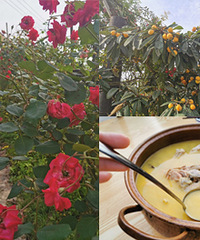 钓鱼摘枇杷,吃跑山鸡,这里太好耍了!