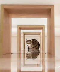 רΪèūһԢĶܱè